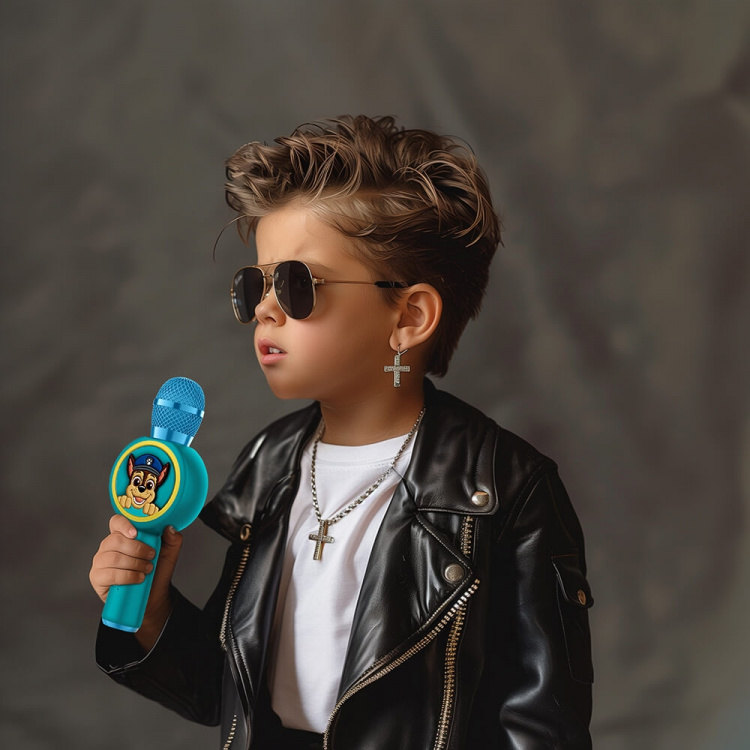 Paw Patrol Karaoke Mic PopSing With LED Paw Patrol Karaoke Mic PopSing With LED