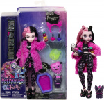 Monster High Creepover Party Draculaura - fashion doll