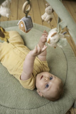Little Dutch Little Farm play mat with arches, green