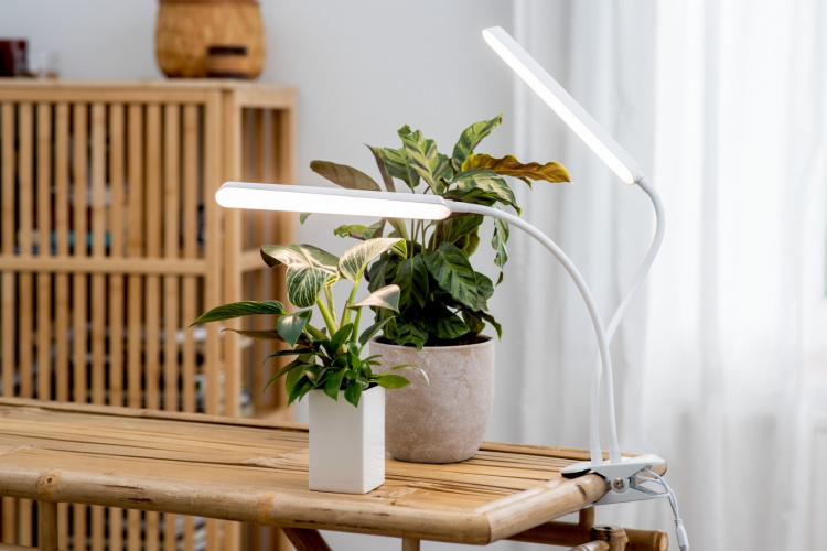 Airam Tulip grow light, 16W/840, 780 lm, white Airam Tulip grow light, 16W/840, 780 lm, white