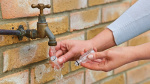 Bosch Aquatak water filter