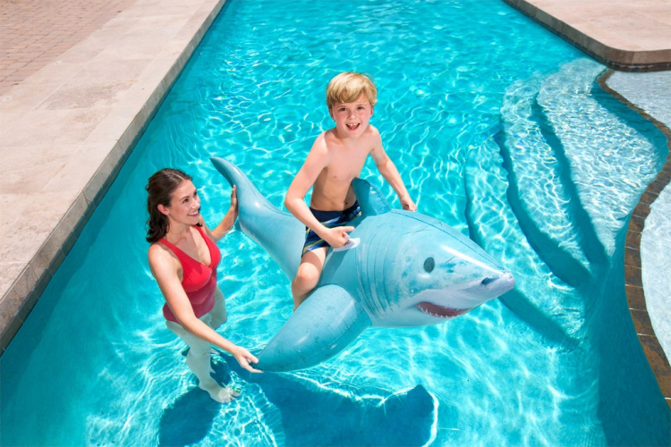 Bestway Shark Rider Watertoy Bestway Shark Rider Watertoy