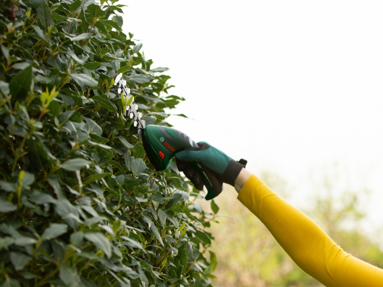 Bosch ISIO III multifunctional trimmer with hedge trimmer