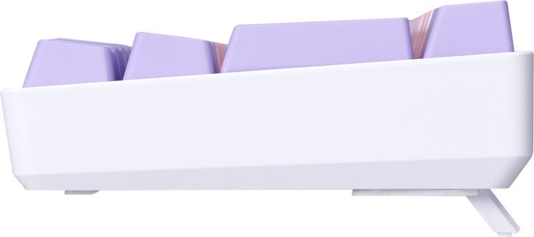 Blackstorm RGB Mech 2 Dual Mode 60% gaming keyboard, hot swap Outemu Red switches, pink/purple