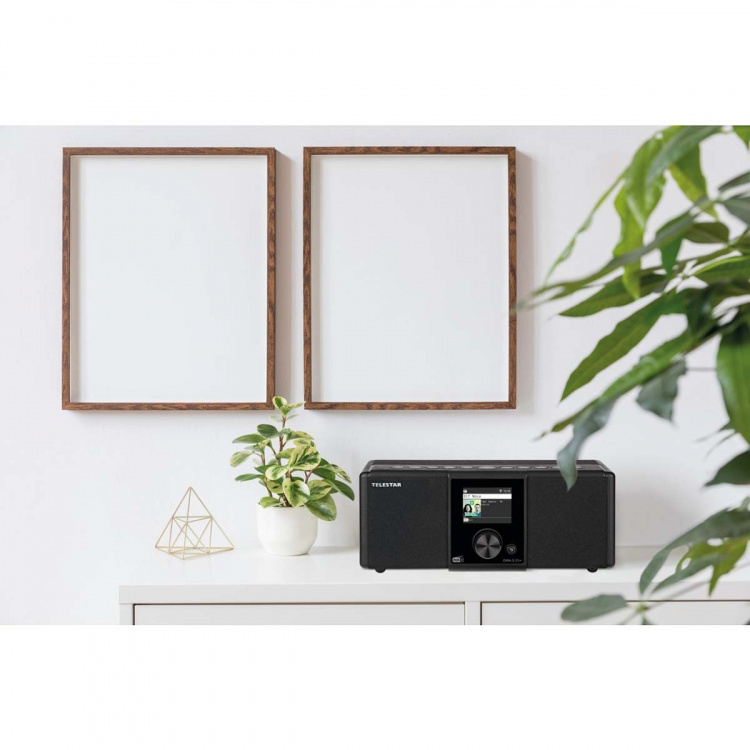 TELESTAR DIRA S21i+, EWF DAB+ / FM / INTERNET / BLUETOOTH