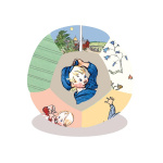 Barbo Toys Soft Ball Emil