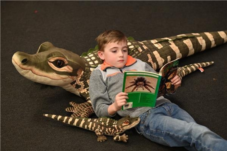 Wild Republic Medium Alligator 51 cm