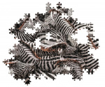 Clementoni 1000 pcs CB High Quality Collection National Geographics Zebras