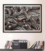 Clementoni 1000 pcs CB High Quality Collection National Geographics Zebras