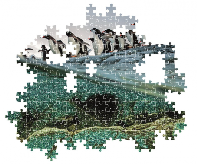 Clementoni 1000 pcs CB High Quality Collection National Geographics Gentoo Penguins