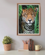 Clementoni 500 pcs CB High Quality Collection Jaguar in the Jungle