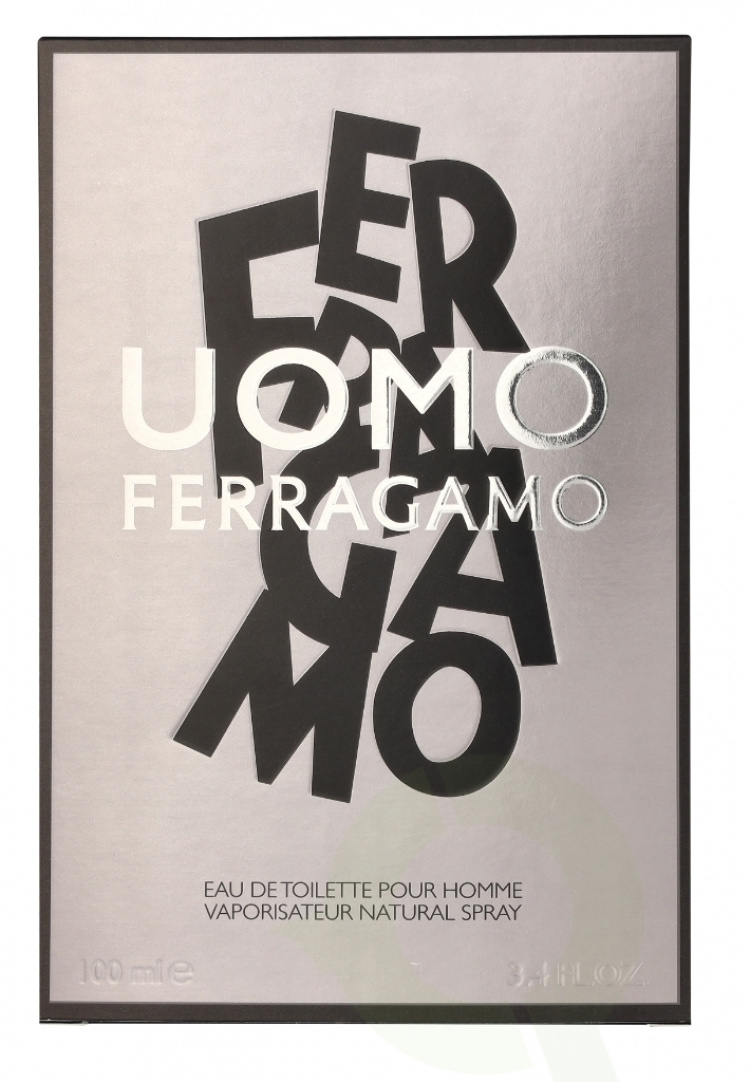 Ferragamo S. Ferragamo Uomo Pour Homme Edt Spray 100 ml