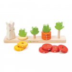 Tender Leaf Learning Numbers - Counting Carrots - (TL8407)