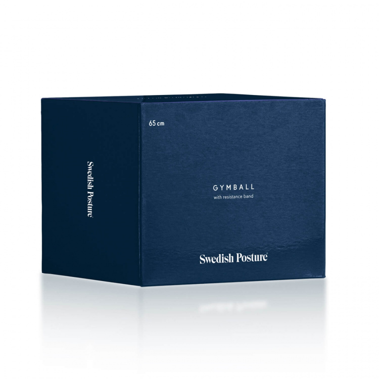 SWEDISH POSTURE Gymball with Resistance Bands