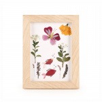 Kikkerland HUCKLEBERRY PRESSED FLOWER FRAME (HB02-F)