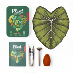 Kikkerland Plant Care Tin