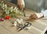 Kikkerland Scissor Set For Garden (SC37)