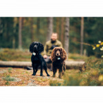 Lildog 2 GPS-Tracker för Hundar Lildog 2 GPS-Tracker för Hundar