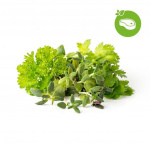 Click & Grow Smart Garden Refill 9-pack Grill & Steak Mix