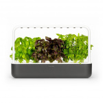 Click & Grow Smart Garden 9 Starter kit (Color: Dark Gray) (SG9S8UNI)