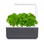 Click & Grow Smart Garden 3 Start kit (Color: Dark Gray) (SGS8UNI)