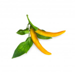 Click & Grow Smart Garden Refill 3-pack Yellow Chili Pepper