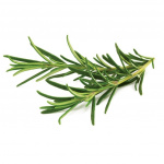Click & Grow Smart Garden Refill 3-pack - Rosemary (SGR51X3)