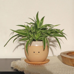 Winkee Crying Plant Pot - Planter