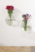 Winkee Wall Vase Dahlia - Set of 2 Winkee Wall Vase Dahlia - Set of 2