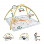 Fisher-Price Fisher Price Newborn – Simply Senses newborn Gym (HRB15)