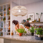 Philips LED E27 Normal A60 4W (60W) Frostad 840lm Dimbar 2700K Energiklass A