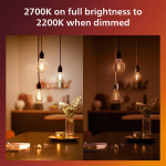 Philips LED SceneSwitch E27 G95 7-3,8-1W (50W) Deco spiral