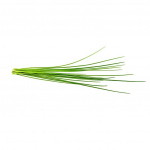 Click & Grow Smart Garden Refill 3-pack - Chives (SGR38X3)