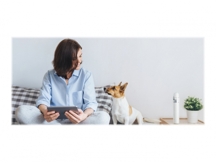 Xiaomi Mi SSXCQ01XY perineal suction cup mini perineal suction cup bear bar