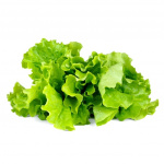 Click & Grow Smart Garden Refill 3-pack - Green Lettuce (SGR32X3)