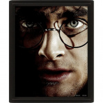 Pyramid International HARRY POTTER (HARRY VS VOLDEMORT) - FRAMED