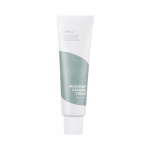 Isntree Mugwort Calming Cream - 50 ml Isntree Mugwort Calming Cream - 50 ml