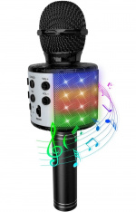 Party Fun Lights Karaoke microphone with speaker - (605600)
