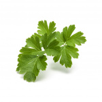 Click & Grow Smart Garden Refill 3-pack Plain Parsley