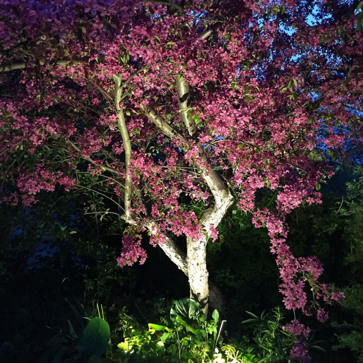 LightsOn Luna Trädgårdsspot 350 lm 5W 35° Grå LightsOn Luna Trädgårdsspot 350 lm 5W 35° Grå