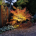 LightsOn Luna Trädgårdsspot 350 lm 5W 35° Grå LightsOn Luna Trädgårdsspot 350 lm 5W 35° Grå