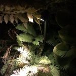 LightsOn Luna 65 Pollare/Trädgårdsspot 350 lm 5W 35° Grå LightsOn Luna 65 Pollare/Trädgårdsspot 350 lm 5W 35° Grå