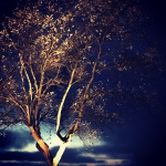 LightsOn Cosmo Markspot 10W 1000lm Grå LightsOn Cosmo Markspot 10W 1000lm Grå