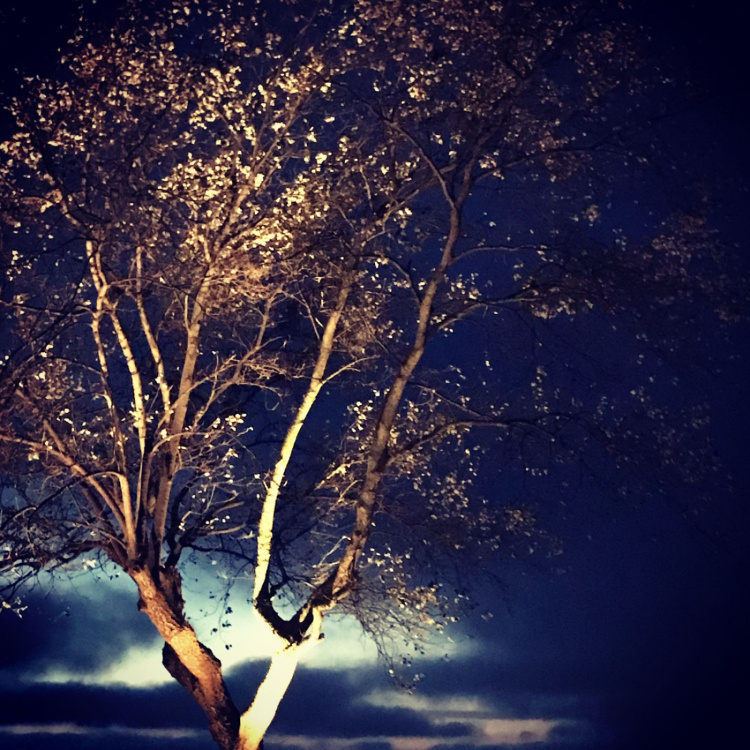 LightsOn Cosmo Markspot 10W 1000lm Grå LightsOn Cosmo Markspot 10W 1000lm Grå