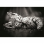 Clementoni Puzzle 1000 Pcs CB High Quality Collection Kitty Clementoni Puzzle 1000 Pcs CB High Quality Collection Kitty
