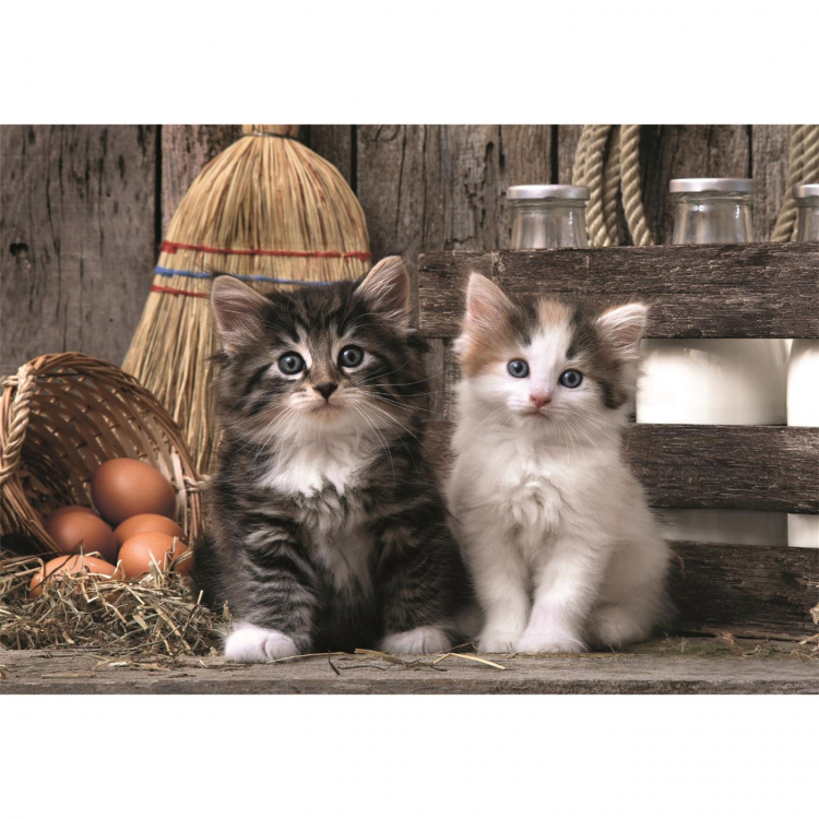 Clementoni Puzzle 1000 Pcs CB High Quality Collection Lovely Kittens Clementoni Puzzle 1000 Pcs CB High Quality Collection Lovely Kittens