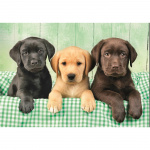 Clementoni Puzzle 1000 Pcs CB High Quality Collection Three Labs Clementoni Puzzle 1000 Pcs CB High Quality Collection Three Labs