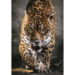 Clementoni Puzzle 1000 Pcs CB High Quality Collection Walk Of The Jaguar Clementoni Puzzle 1000 Pcs CB High Quality Collection Walk Of The Jaguar