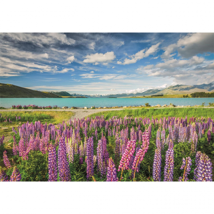 Clementoni Puzzle 1500 Pcs CB High Quality Collection Lupins At Lake Tekapo