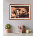 Clementoni Puzzle 500 Pcs CB High Quality Collection Cuddles Clementoni Puzzle 500 Pcs CB High Quality Collection Cuddles